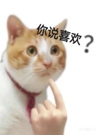所有人都重生了无防盗