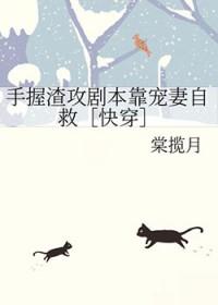 穿越七零好孕军