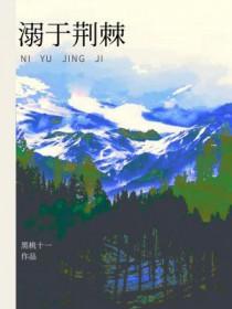 少年悟空传海量版