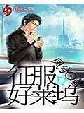 龙翔天兵