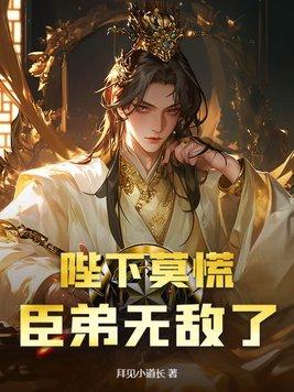 我靠破案走向权力巅峰