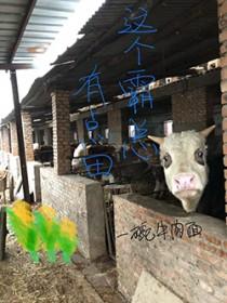 红甲武士大战赤发鬼